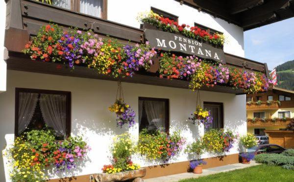 Pension Montana Ваграйн Экстерьер фото